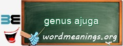 WordMeaning blackboard for genus ajuga